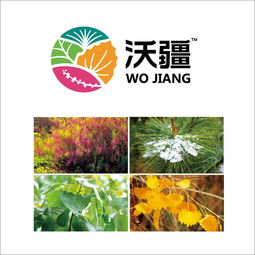 如何選定一個靠譜北京營銷策劃公司｜以福來品牌實戰(zhàn)經(jīng)驗為例，升級你的全案戰(zhàn)略